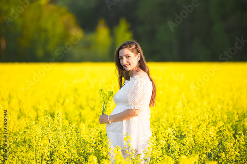 Pregnant girl in the field. 7 month of pregnancy. The concept of motherhood. Toned photo. © SYARGEENKA
