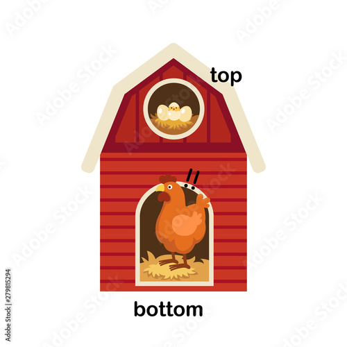 Opposite words bottom and top vector illustration