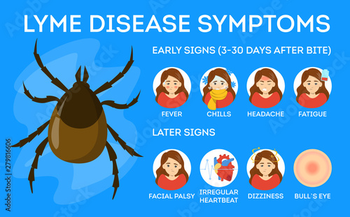 Lyme disease symptoms. Danger for health from tick