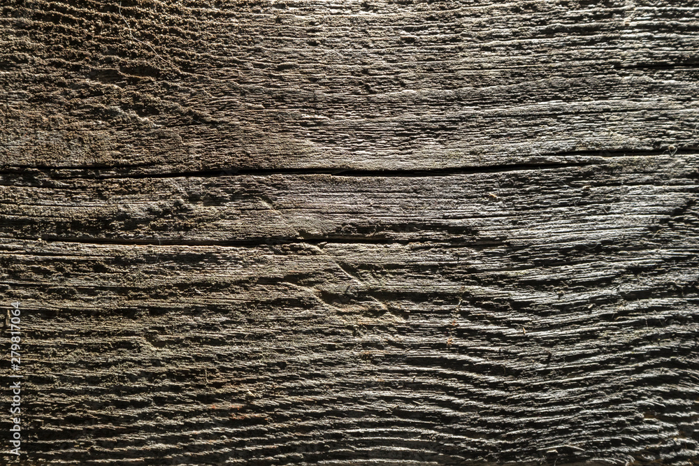 Obraz premium Old dry tree, wood texture background