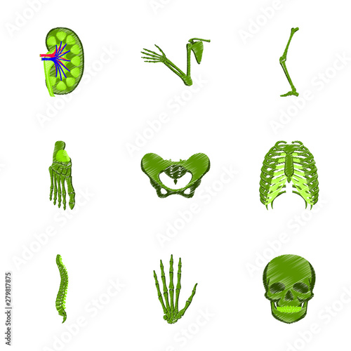 assembly of flat shading style icon human bones