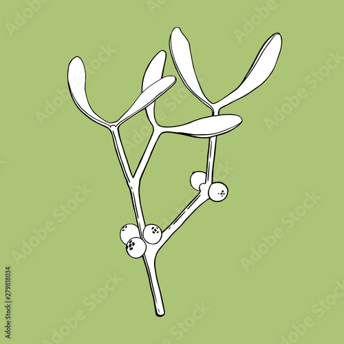 Interpretation of  “Viscum album”. Plant on a green background.  Realistic, hand-drawn illustration on a green background. Can be used for postcards, invitations, advertising, web.