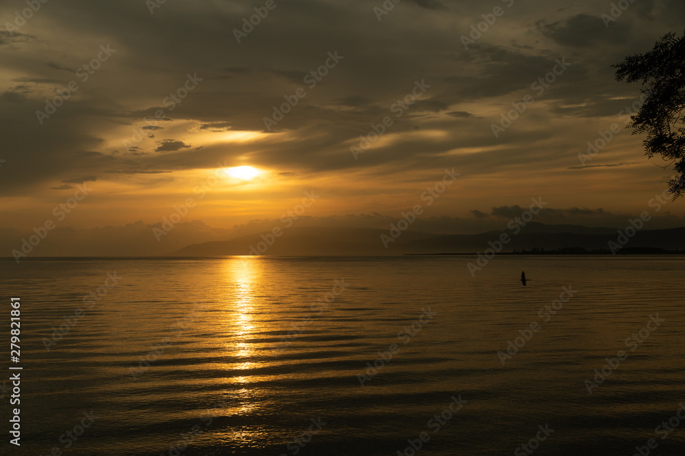 sunset over Lake Iznik with a flying bird