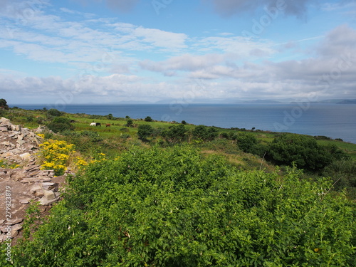 Ring of Kerry     Westk  ste bei Kells Bay