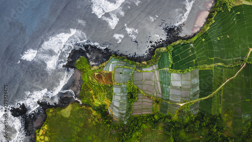 Aerial view of scenery rice terraces on ocean coast in Bali, Indonesia