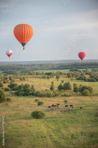 Colorful air balloons flying over the green field and animals using heat technology