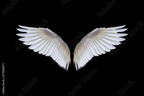 White angel wings isolated on a black background.clipping path