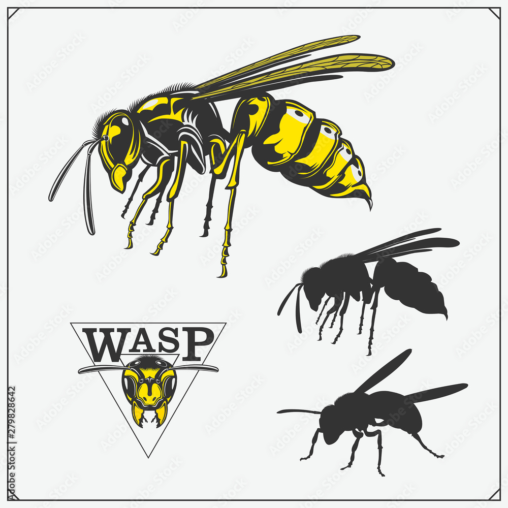 Vecteur Stock Set of Wasp labels, badges, icons and design elements