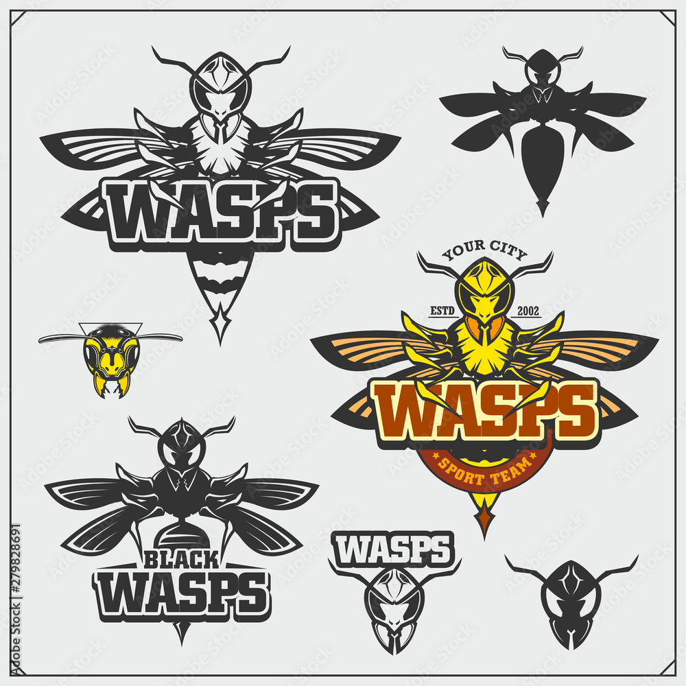 Set of Wasp labels, badges, icons and design elements. Dangerous stinging insects collection. Sport club emblems. Print design for t-shirt. Set of Wasp labels, badges, icons and design elements. Dangerous stinging insects collection. Sport club emblems. Print design for t-shirt.