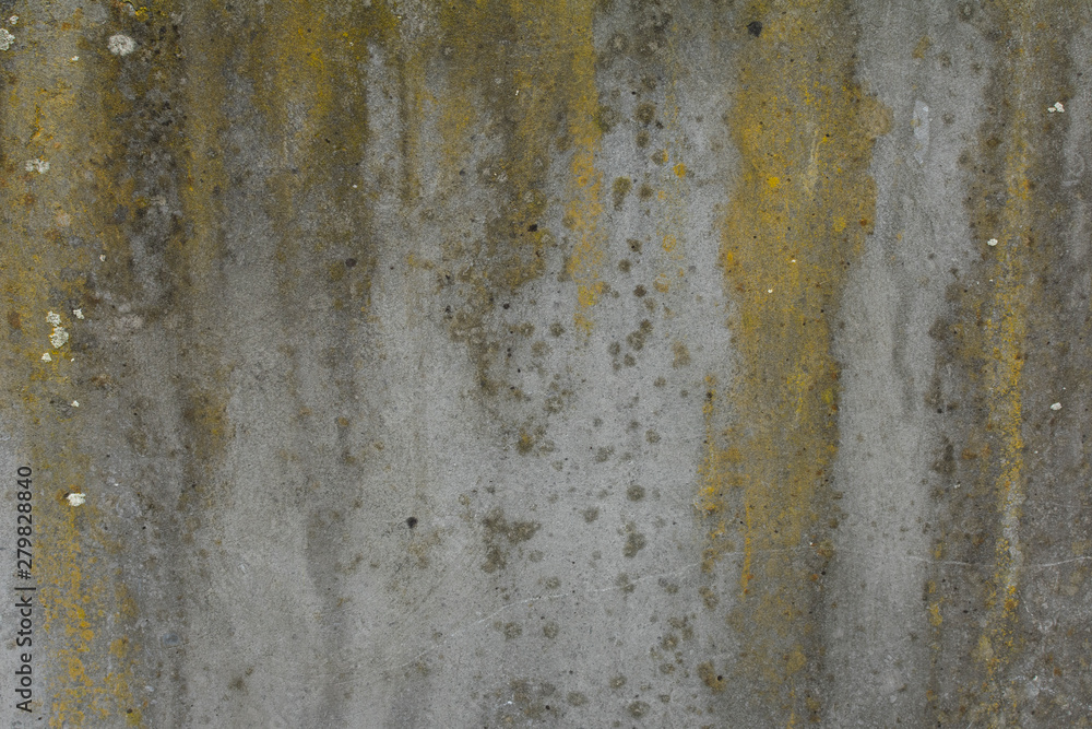 Concrete floor full of red and orange fungus and white spots, use as background with texture Concrete floor full of red and orange fungus and white spots, use as background with texture