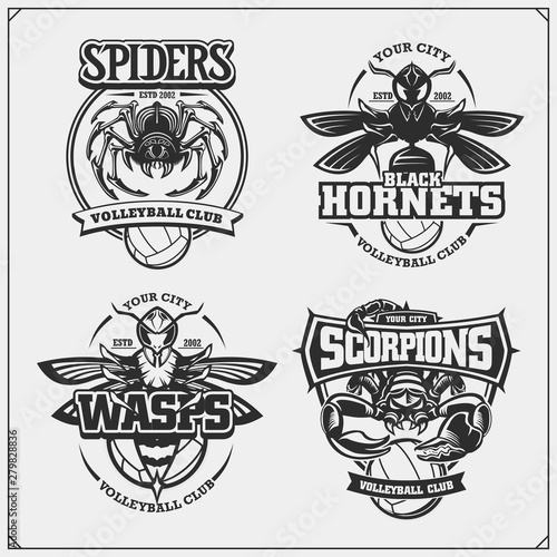 Volleyball badges, labels and design elements. Sport club emblems with scorpion, wasp, hornet and spider. Print design for t-shirt.