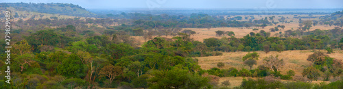 Panoramic view of the African savanna at sunset.
