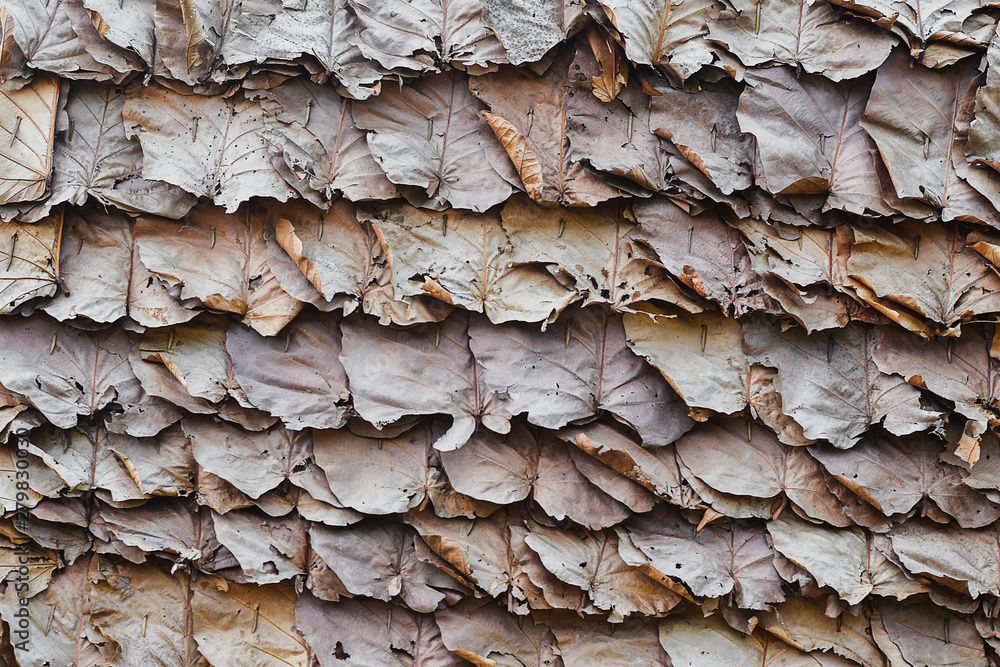 Dry leaves background, Detail of an Asian house roof made from dry leaves nature architecture design Dry leaves background, Detail of an Asian house roof made from dry leaves nature architecture design