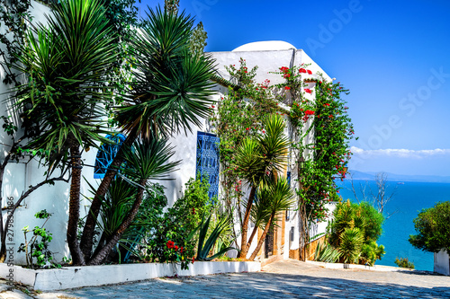Beautiful garden with palm trees and flowers at the white wall of the city of Sidi Bou Said. Tunisia. photo