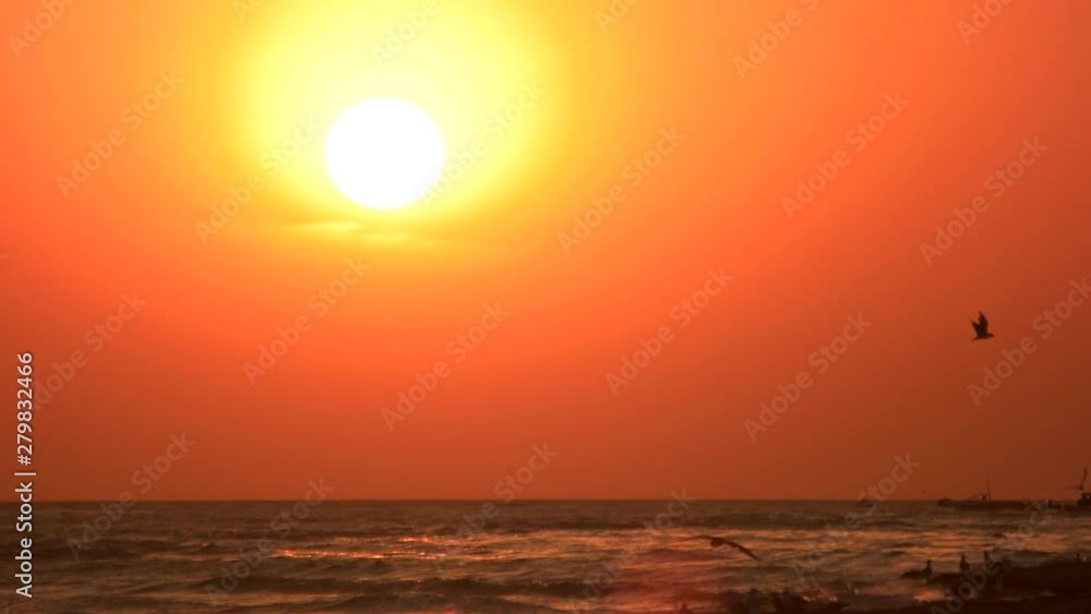 Flying birds over sea at sunset. Majestic sunset on the beach with flying seagulls. Flying birds over sea at sunset. Majestic sunset on the beach with flying seagulls.