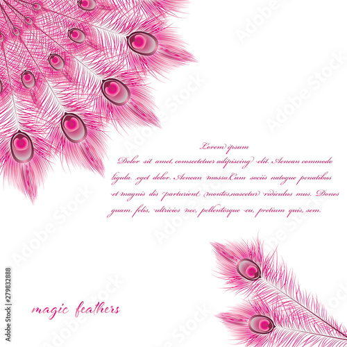 Beautiful  background  feathers Pink peacock  with space for text. Vector. EPS 10