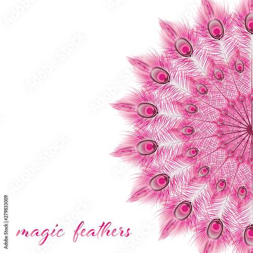 Beautiful  background  feathers Pink peacock  with space for text. Vector. EPS 10