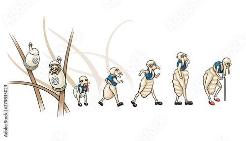 Funny illustration of the life cycle of lice (vector) photo