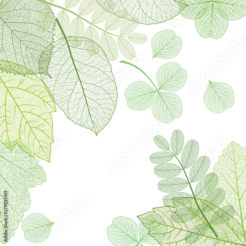 Beautiful background with green leaves . Vector illustration. EPS 10