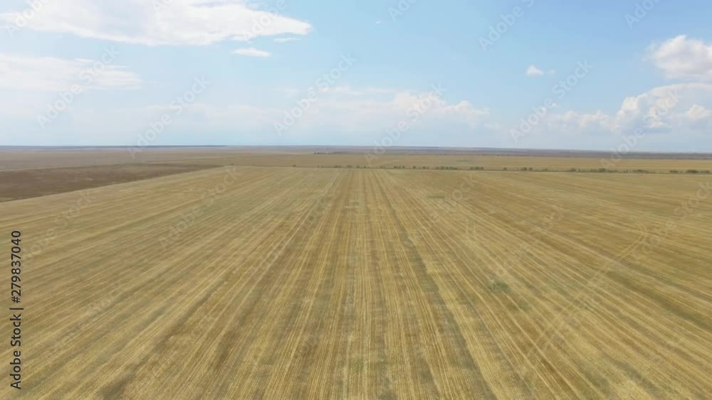 Landscape with wheat field and blue sky. AERIAL: Flight over agricultural fields after harvesting time Landscape with wheat field and blue sky. AERIAL: Flight over agricultural fields after harvesting time