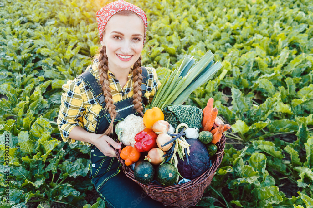Fototapeta premium Bauer Frau in einem Feld bietet biologisch angebautes Gemüse 