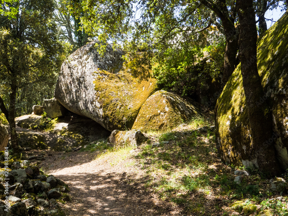 Fototapeta premium Boulders