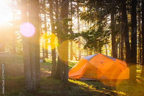 tent in the forest