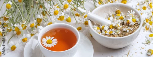 Panel kuchenny z motywem Rural still-life - cup of brewed chamomile tea on the background of a bouquet of daisies, closeup