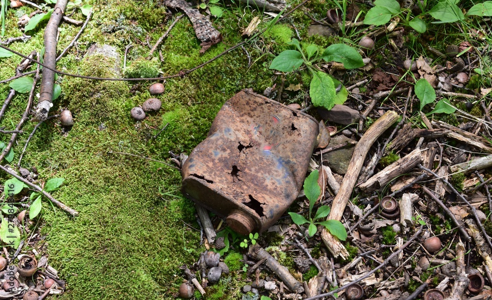 Obraz premium Rusting Rebirth