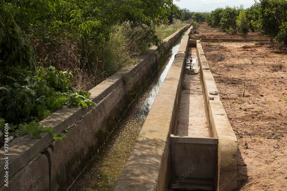 Irrigation system by ditches in the agricultural field Irrigation system by ditches in the agricultural field