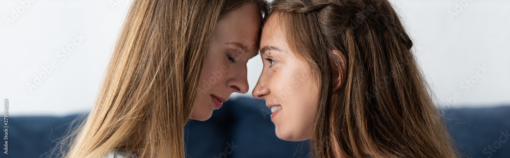 panoramic shot of two lesbians touching foreheads at home panoramic shot of two lesbians touching foreheads at home