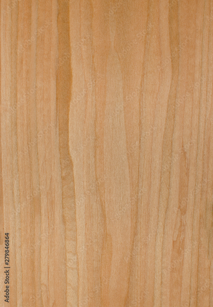 Fototapeta premium drewno tło tekstura deseń