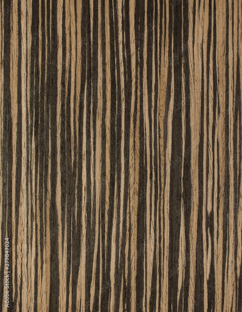 Fototapeta premium drewno tło tekstura deseń