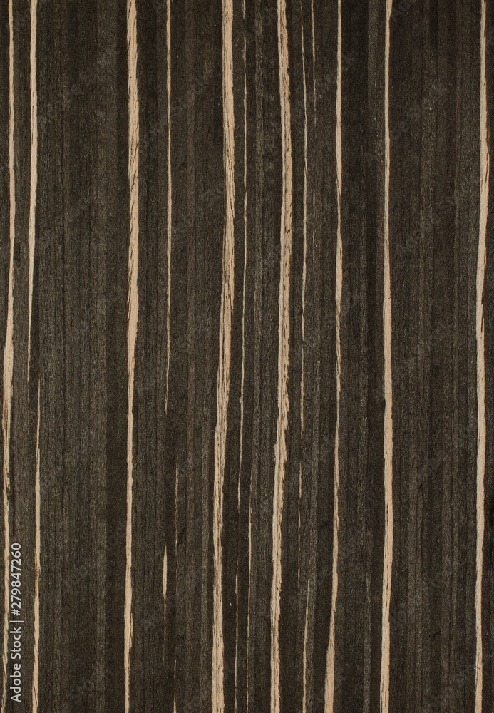 Obraz premium drewno tło tekstura deseń