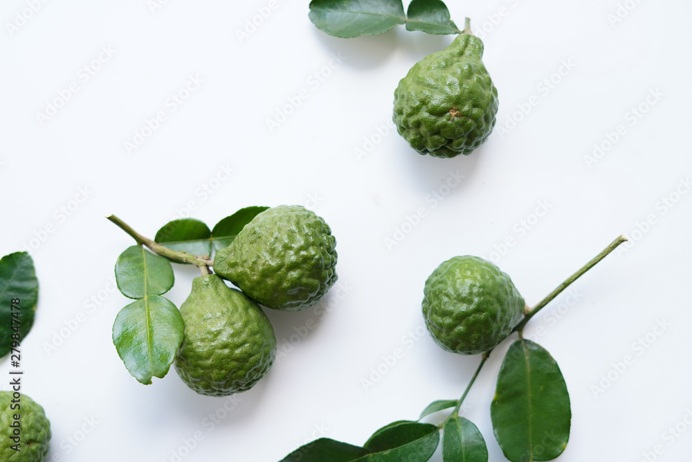 fresh bergamot fresh bergamot