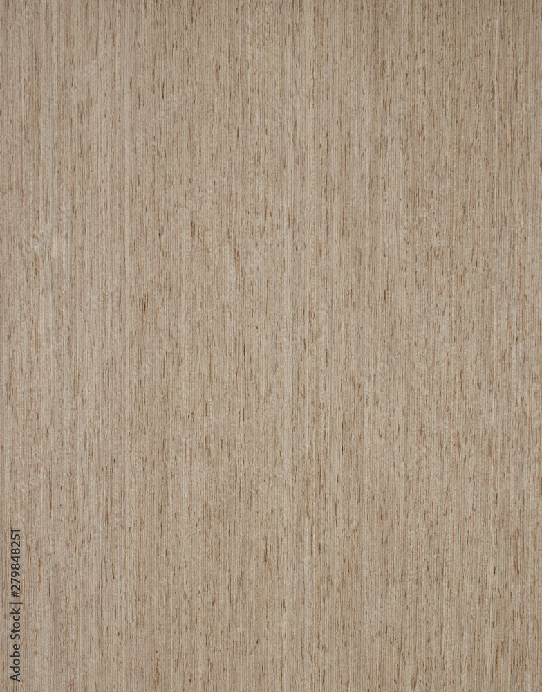 Fototapeta premium drewno tło tekstura deseń