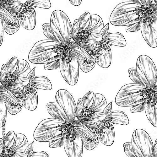Beautiful  seamless pattern with jasmine flowers. Vector illustration. 