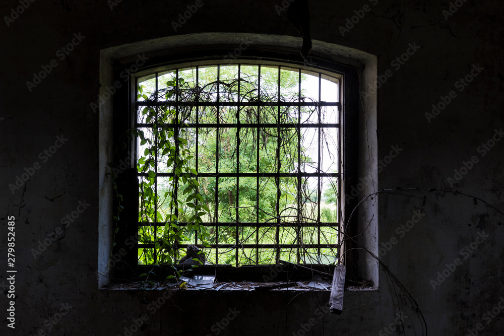 Urban exploration / Abandoned Textile industry Urban exploration / Abandoned Textile industry