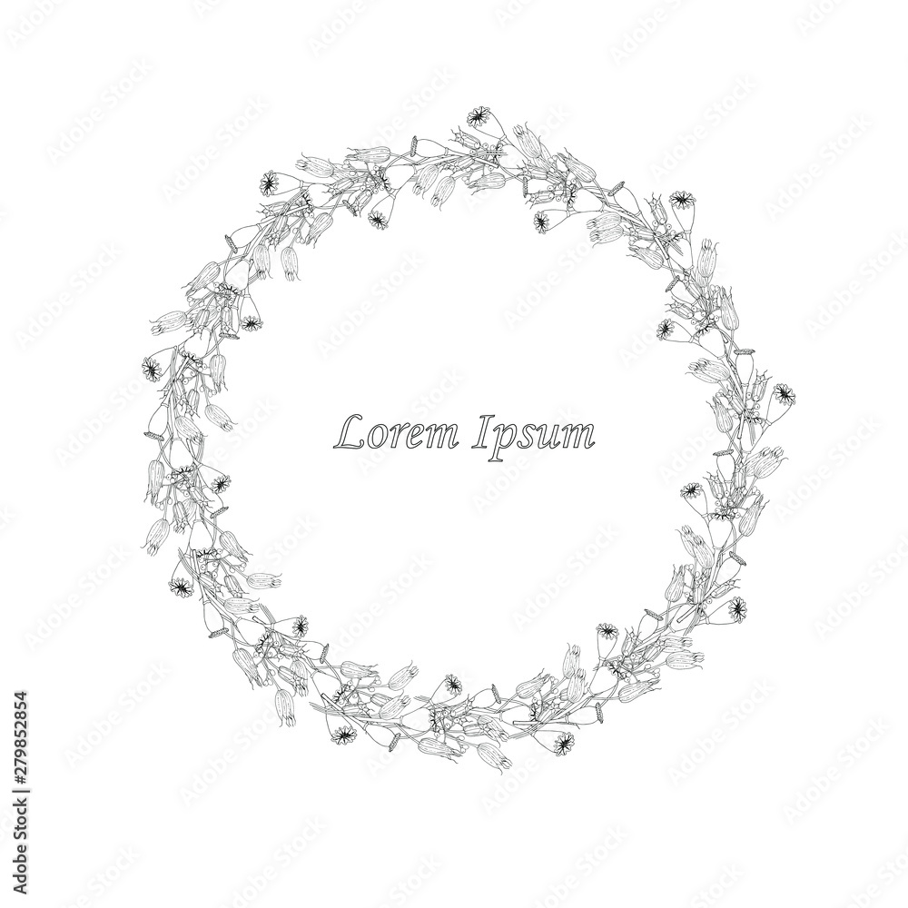 Fototapeta premium Round border of papaver aquilegia fruits, Lorem Ipsum monochrome graphic hand drawn design element stock vector illustration for web, for print, for coloring page
