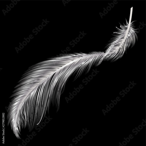 Feather isolated.  Vector illustration. EPS 10.