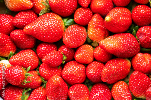 Organic strawberries handpicked
