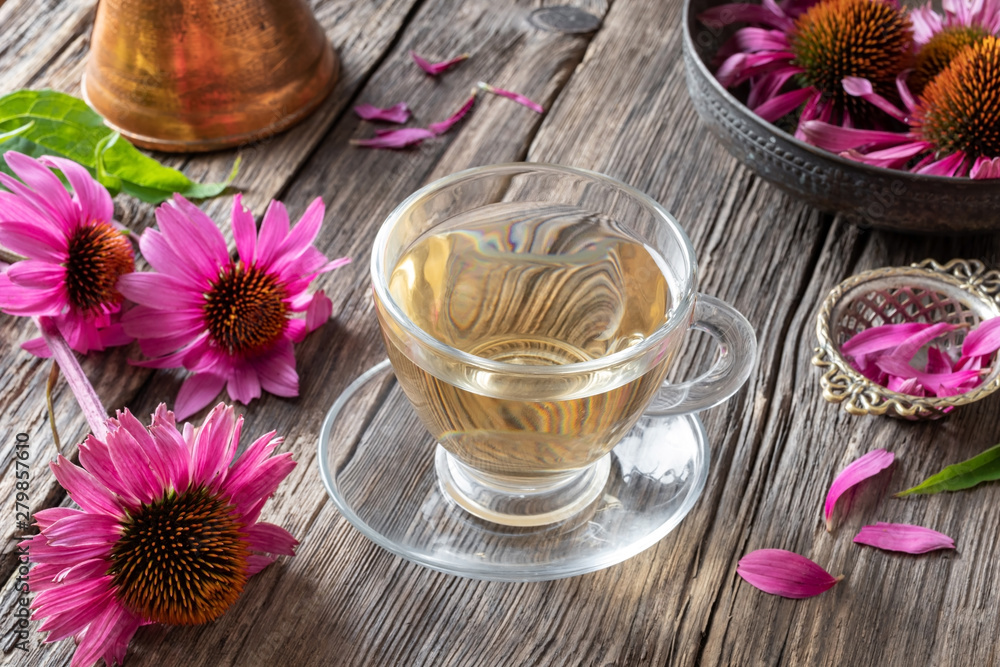 A cup of herbal tea with fresh echinacea flowers A cup of herbal tea with fresh echinacea flowers