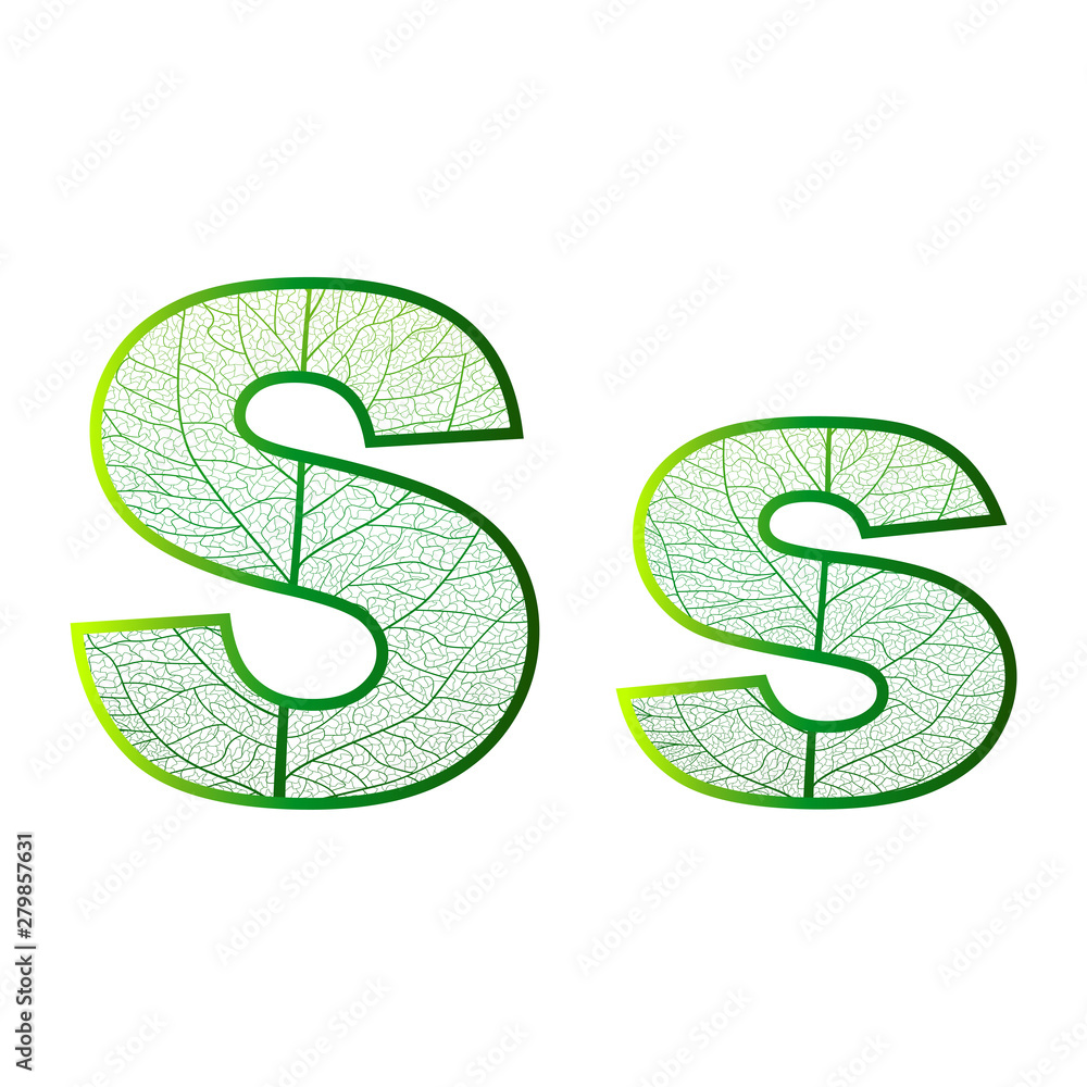 Set of eco Latin letters texture leaf vein. Vector illustration. EPS 10. Set of eco Latin letters texture leaf vein. Vector illustration. EPS 10.
