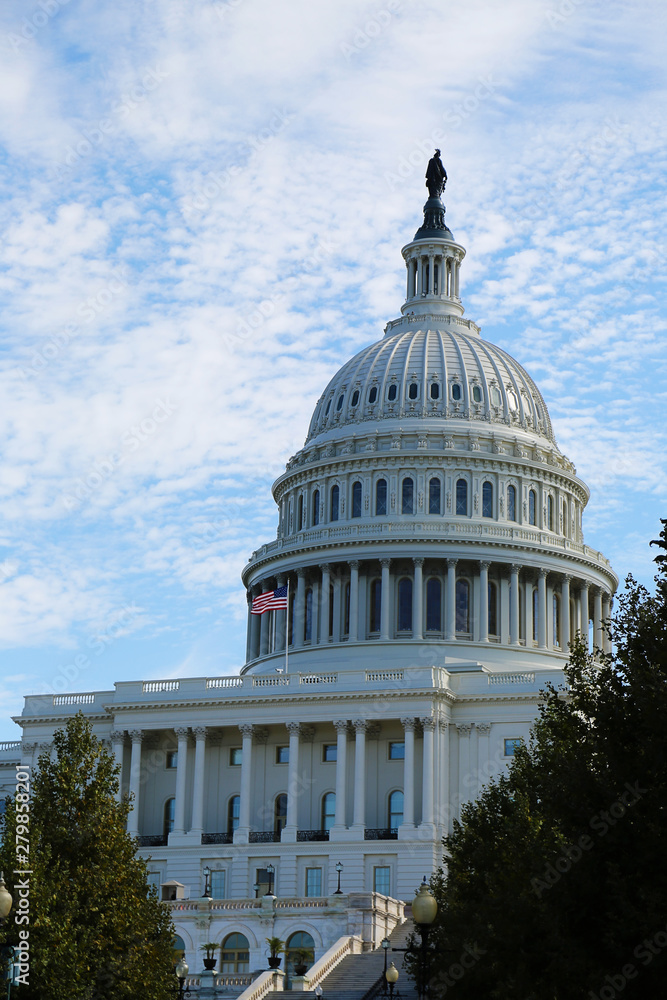 Obraz premium Capitol Washington