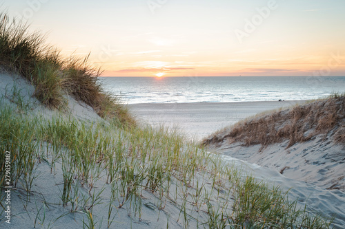 Fototapeta Naklejka Na Ścianę i Meble -  Dunes at sunset on bright blue days at the beach. Dune grass blowing in the summer breeze