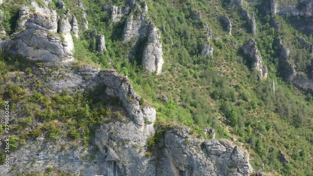 Vultures landing on a rock gorges du Tarn France aerial shot rocky landscape bird of prey gyps fulvus Vultures landing on a rock gorges du Tarn France aerial shot rocky landscape bird of prey gyps fulvus