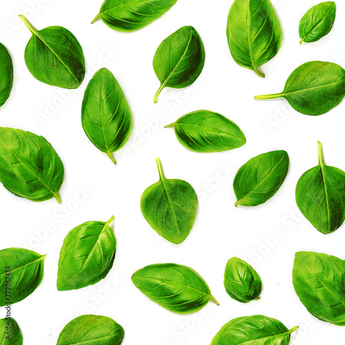 Fluing Basil herb leaves isolated on white background. Basil Pattern. Top view. Flat lay.