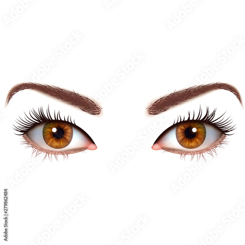 Realistic brown eyes with eyelashes and eyebrows