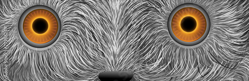 three detailed ripe red tomatoes on white background, tomato set,