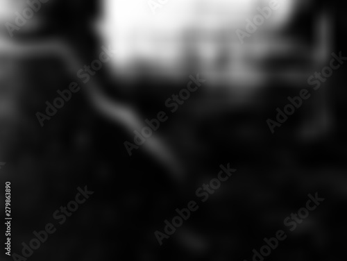 Black white blurred background. 